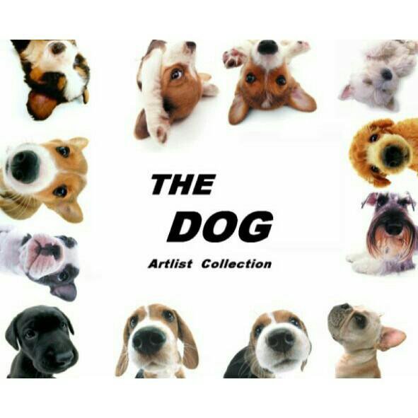 The dog collection норфолкский терьер. Коллекция собачек с журналами. The dog artlist collection. She has got a dog. Коллекция собачек the dog collection.