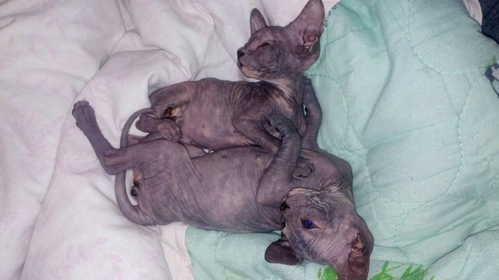 Дружелюбие