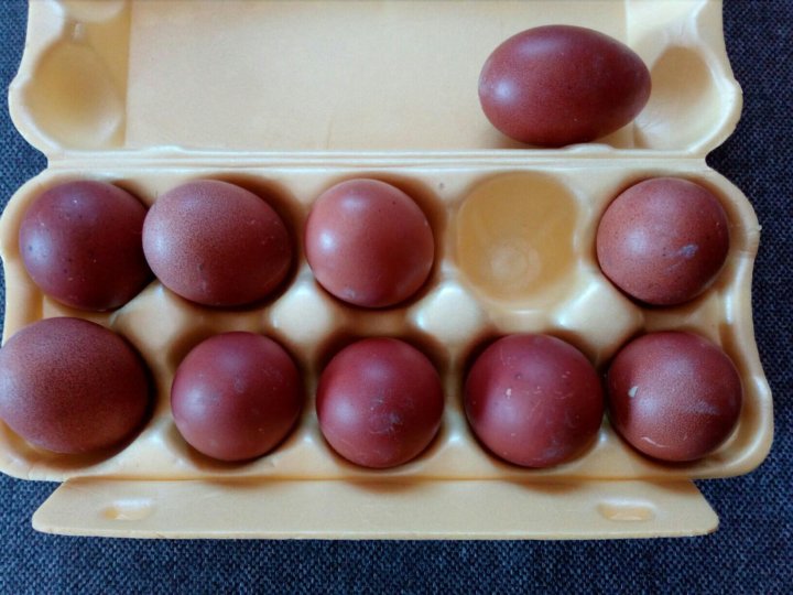 Инкубационное яйцо марана купить. Яйцо Марана фото.