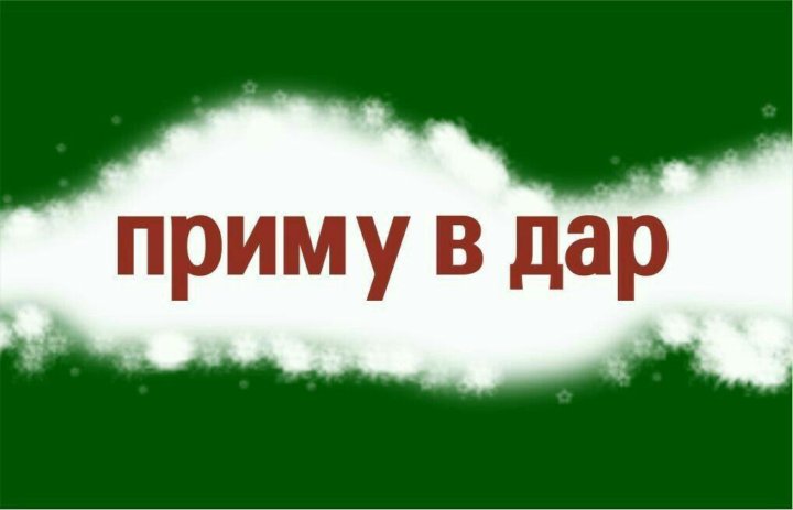 Приму лично. Приму в дар. Примем в дар. Приму в дар фото. Приму вещи в дар.