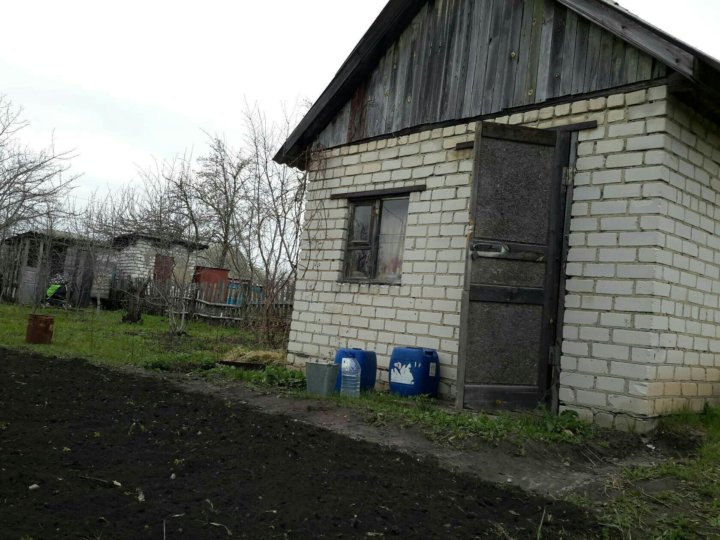 На плане изображен дачный участок по адресу снт рассвет ул центральная дом 32