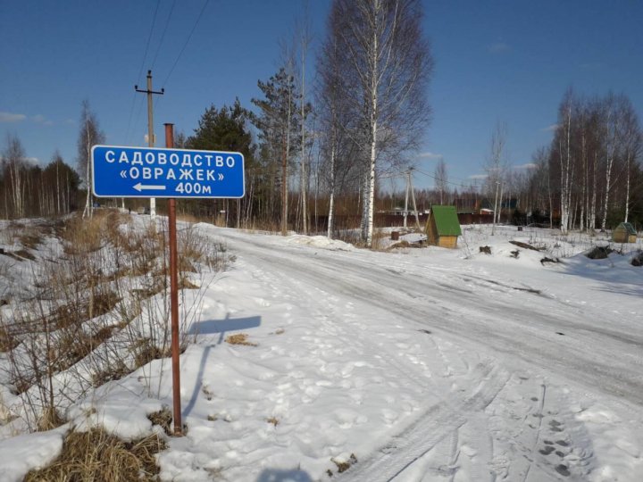 Автобус вырица куровица