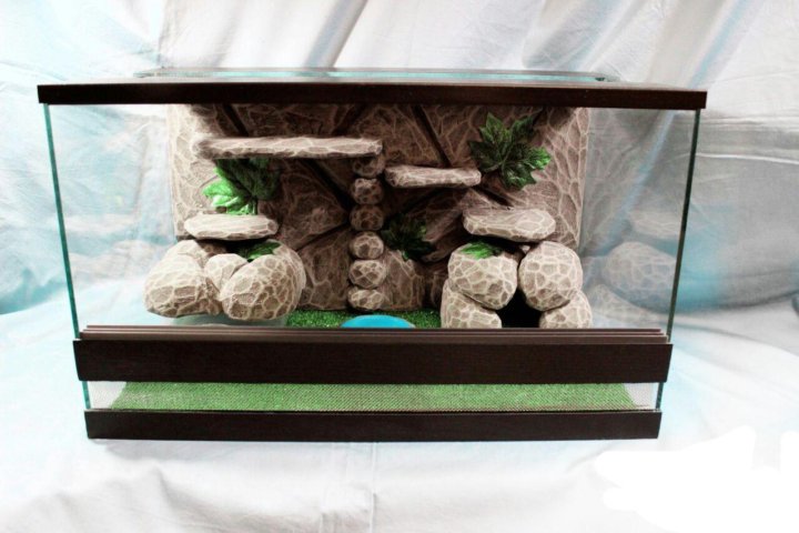 Флорариум с лиственными. Террариум для змей. Pt2611 (h226110). Моховой террариум. Флорариум мох будда.