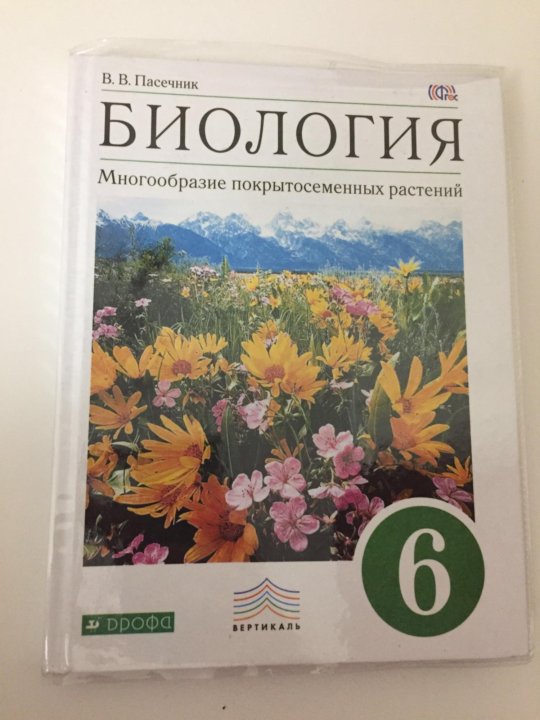 Купить Учебники 6 Класс Интернет Магазин