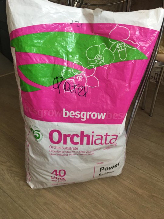 Интернет Магазин Цветы Юга Кора Орхиата