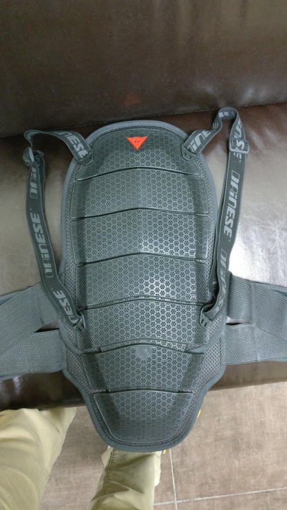 Защита спины dainese shield air 8 level 2. Size L – купить в Москве ...