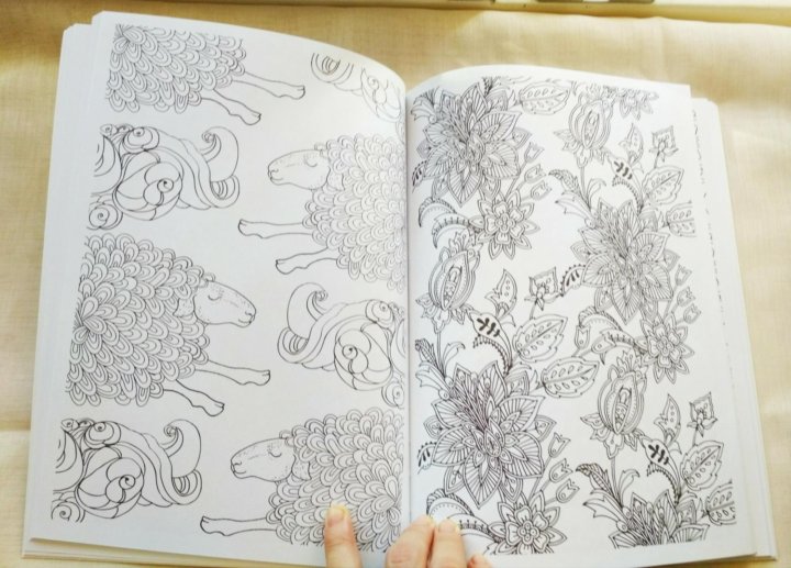 The Can't Sleep Colouring Book
