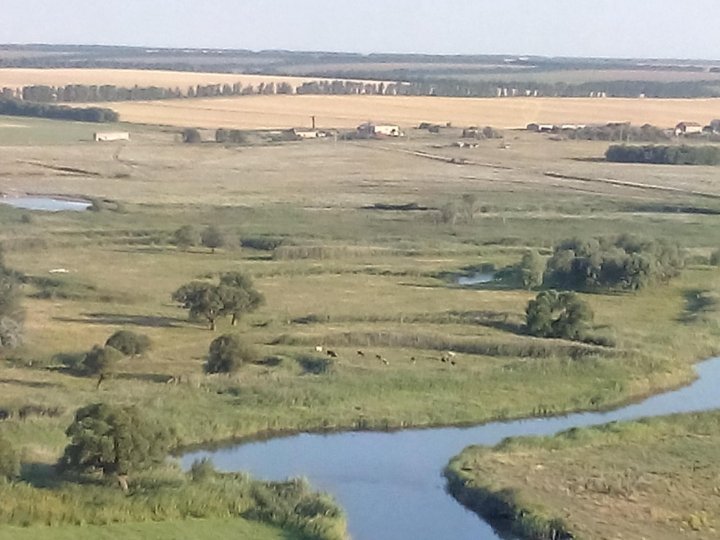 От деревни александровка до фомино. Село Ольховчик Ростовская область. Село Ольховчик Чертковский район. Ольховчик Чертковский район Леонтьев. Семено-Камышенская Чертковский район.