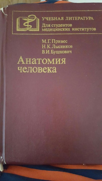 Анатомия Человека, Привес, 1985г – Купить В Мытищах, Цена 450 Руб.