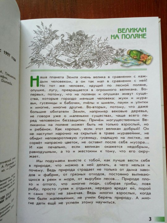 Книга великан на поляне