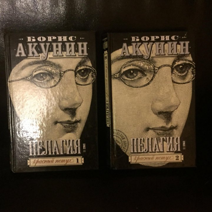 Акунин книги спас