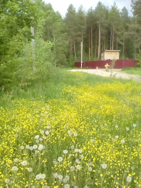 Дер заднего. Деревня заднее поле Владимирская область. Петушинский район деревня заднее поле. Заднее поле Владимирской области. Киржач заднее поле.