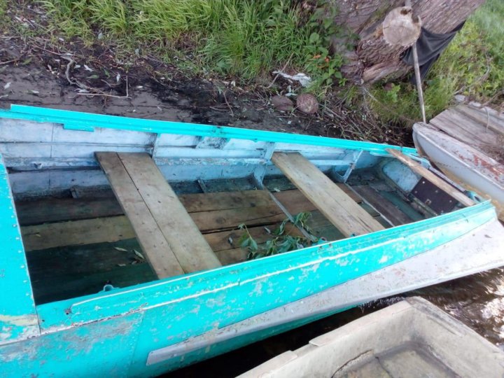 Казанки В Бийске На Авито С Фото