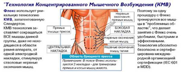 Миостимуляция живота схема