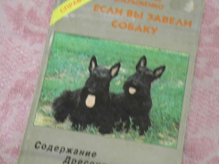 Энциклопедия о собаках. Ксолоитцкуинтли порода описание содержание воспитание. Содержание книги собаки росмэн. Лаврова загадки собак. Книги содержание собак.