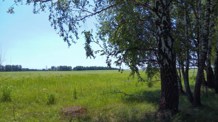 Участок курская область. Д.Городное Железногорский район. Городное Курская область. Село Городное Железногорский район Курской области. Курская область сельхозугодья.