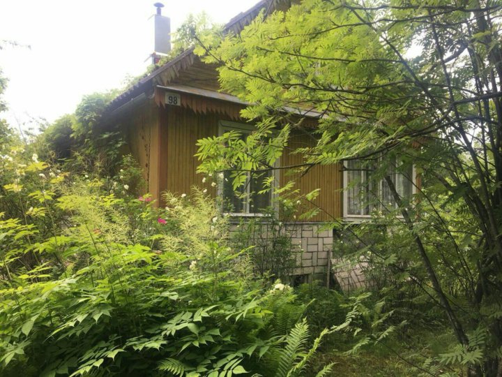 снт грибное. келколово снт выборгское. массив грибное кировский район. массив грибной посёлок санкт петербург дачи до 1000000. кпп грибное.