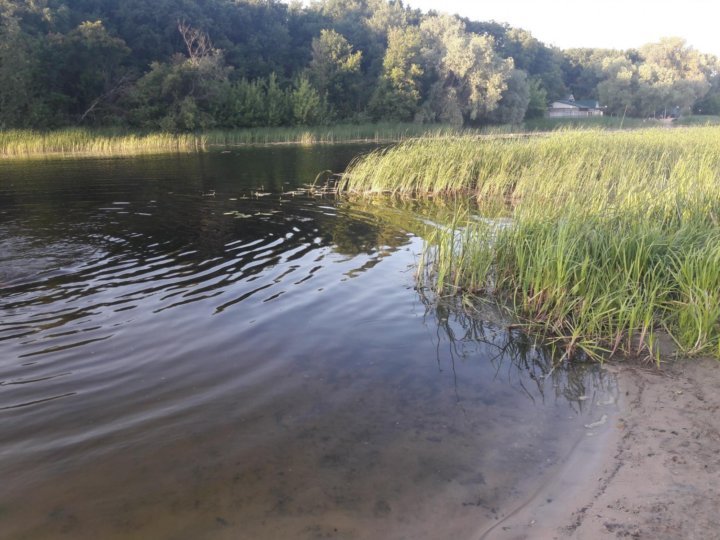 Баня в новой усмани воронежской области у реки