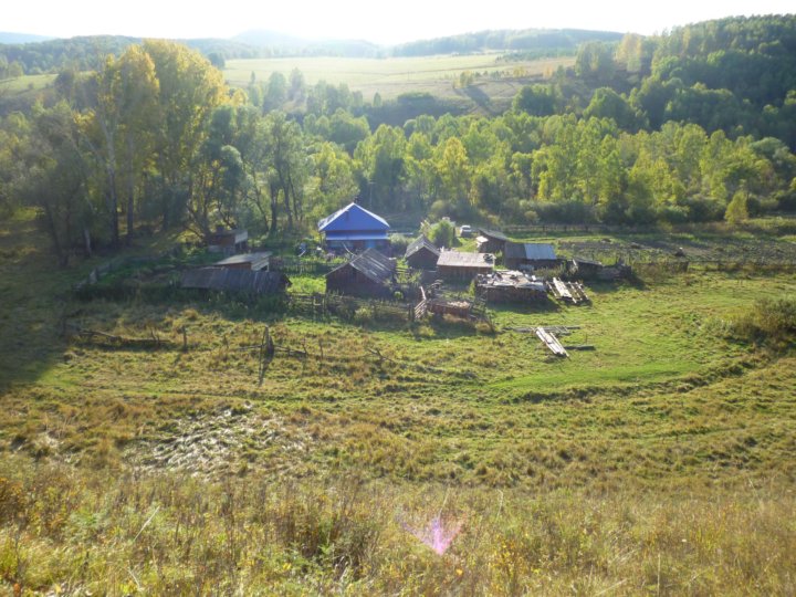 Погода александровка алтайский край. Туманово Алтайский край Солонешенский район. Алтайский край Солонешенский район село Тальменка. С Солонешное Солонешенского района Алтайского края. Села Александровка Солонешенский район.