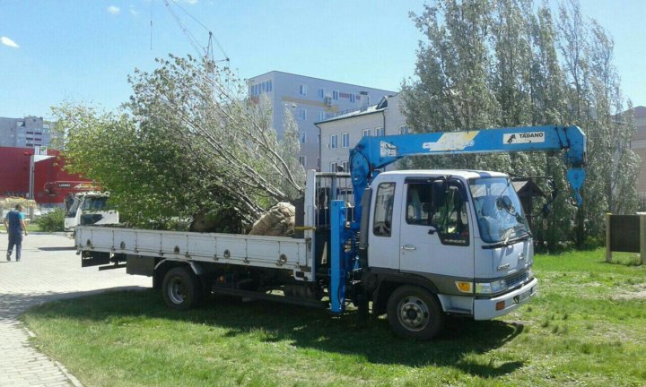 Сам гружу сам вожу