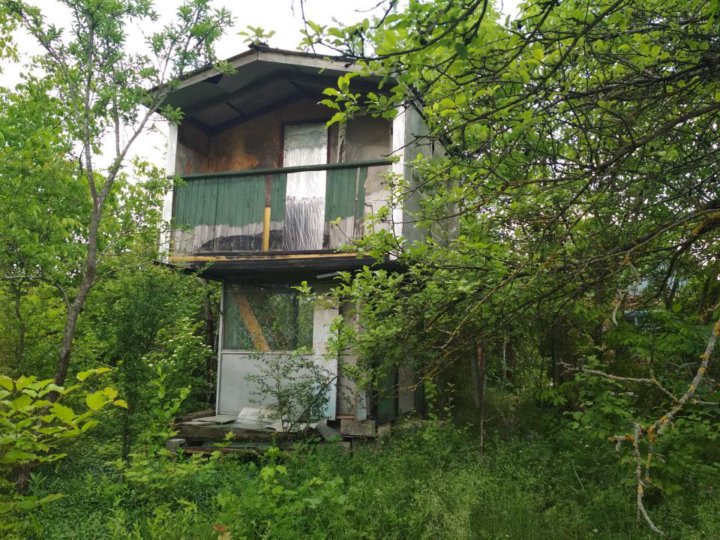 Дача сергиев посад снт дружба. Снт дружба тверь. Снт дружба шаховской район. Снт дружба латышская. Дер.