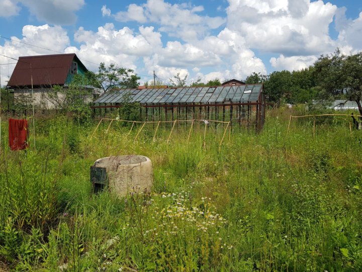 Продам участок в товариществе. Участок СНТ. СНТ земельный участок. СНТ Майский Московская область. Заброшенный участок в СНТ.