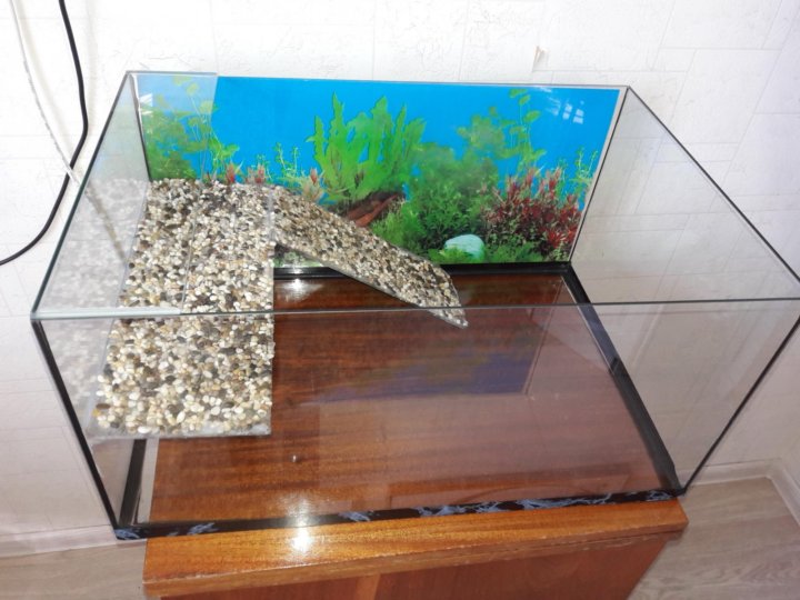 кукурузный грунт. грунт для черепахи красноухой. стеклянный террариум для сухопутной черепахи. аквариум для сухопутной черепахи. террариум для сухопутной черепахи.