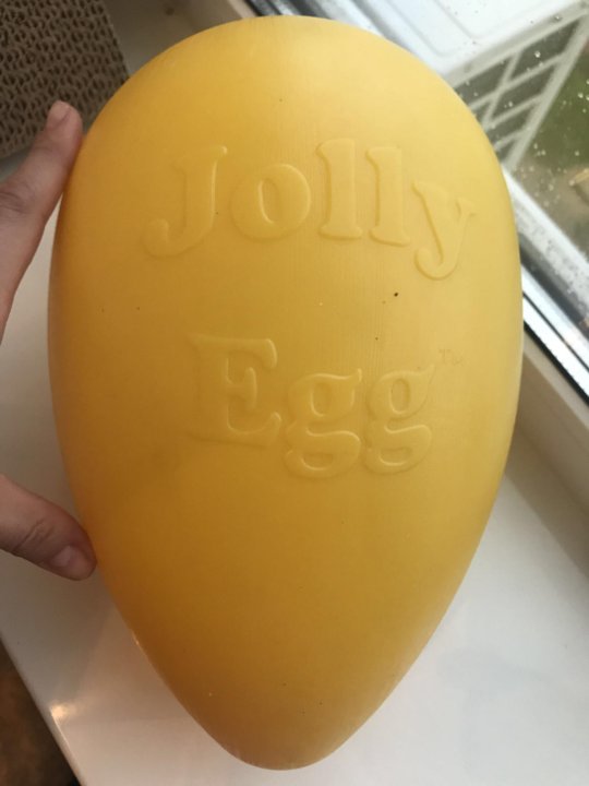 jolly egg