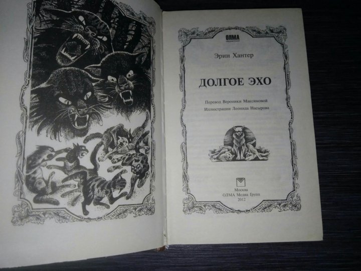 Книжка коты воители. Коты воители золотая коллекция четвёртый оруженосец долгое эхо. Коты воители долгое эхо обложка. Коты воители долгое эхо читать. Книга кв долгое эхо.