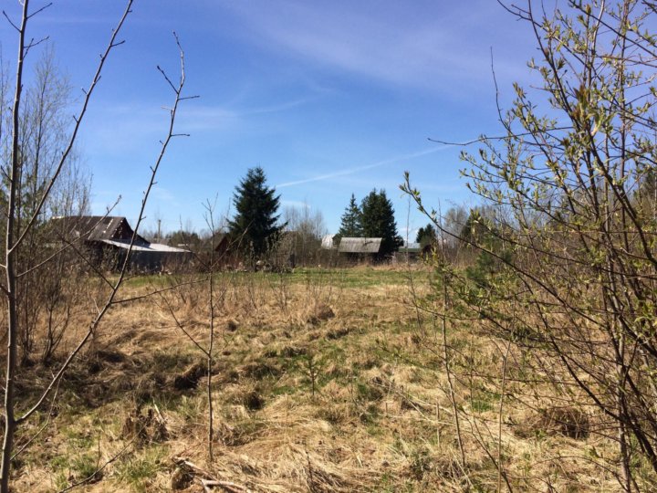 Снт эра. Трубниково садоводство карта. Погода трубников бор тосненского р-на на 14 дней. Трубников бор участки. Снт радиатор трубников бор.