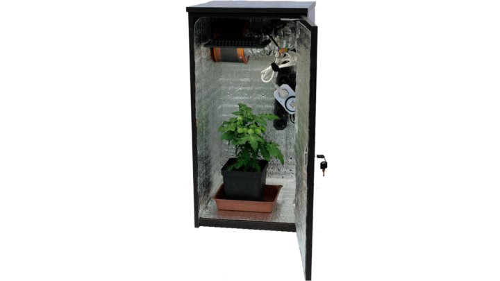 Гроубокс 80х80х180. Growbox market 2024. Стелс гроубокс. Стелс гроубокс лед. Гроубокс в холодильнике.