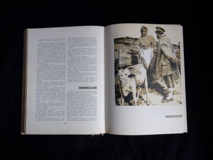 Дона м сайт. Тихий Дон издание 1971. Тихий Дон молодая гвардия 1971. Издательство молодая гвардия тихий Дон. Молодая гвардия Шолохов.