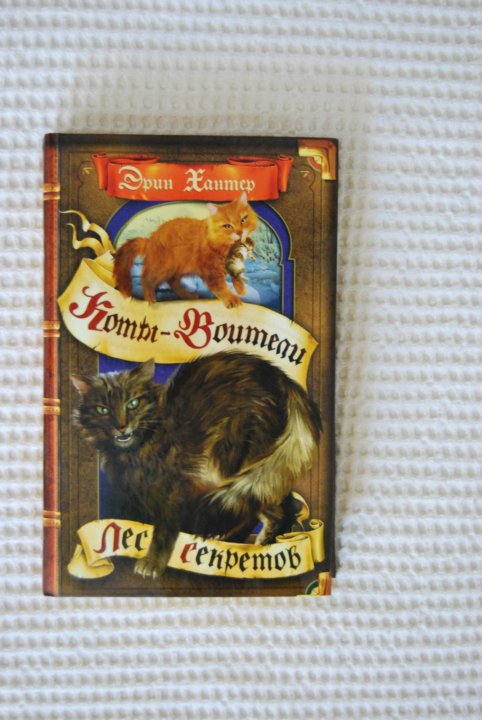 Лес секретов коты воители