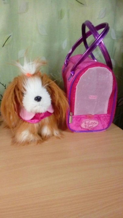 mc hammy backpack