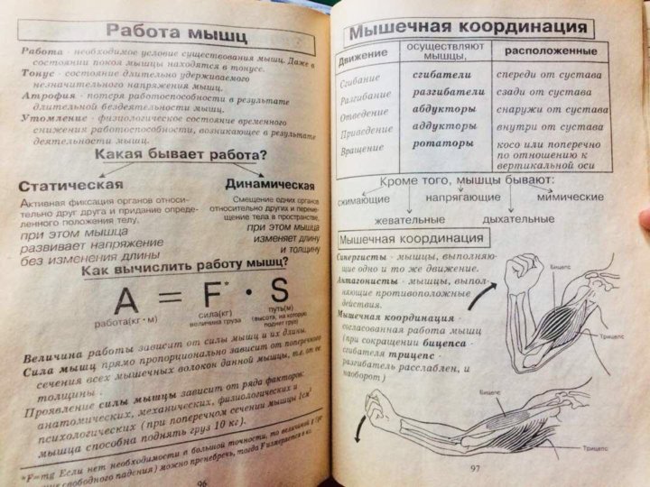 Биология человека в таблицах рисунках и схемах