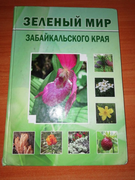 Учебник. Зелёный Мир Забайкальского Края. 6 Класса – Купить В Чите.