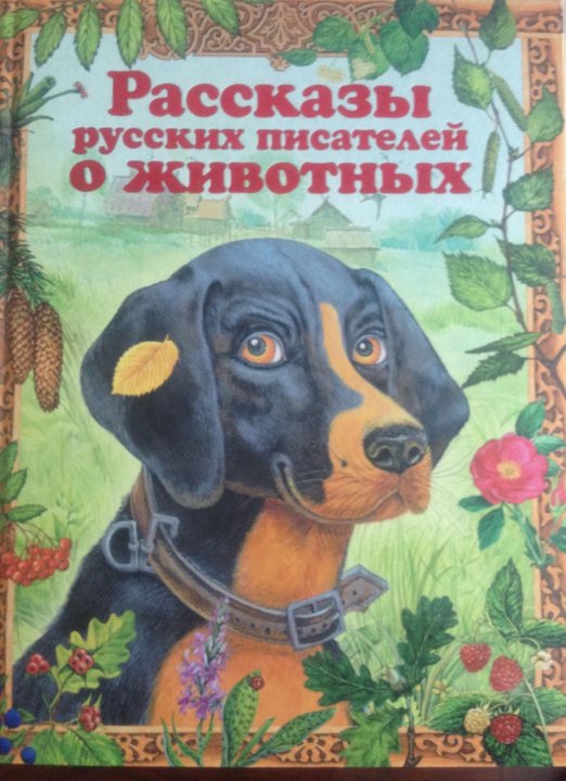 Автор рассказывающий про животных. Произведения о животных. Рассказ о животных писателей. Сборник рассказов о животных. Рассказы о животных русских писателей.