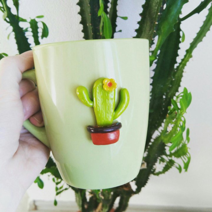 Cactus lab. Кактусовая почва, покрытая галькой. Кактус в чашке. Cactus lab. Cactus lab.