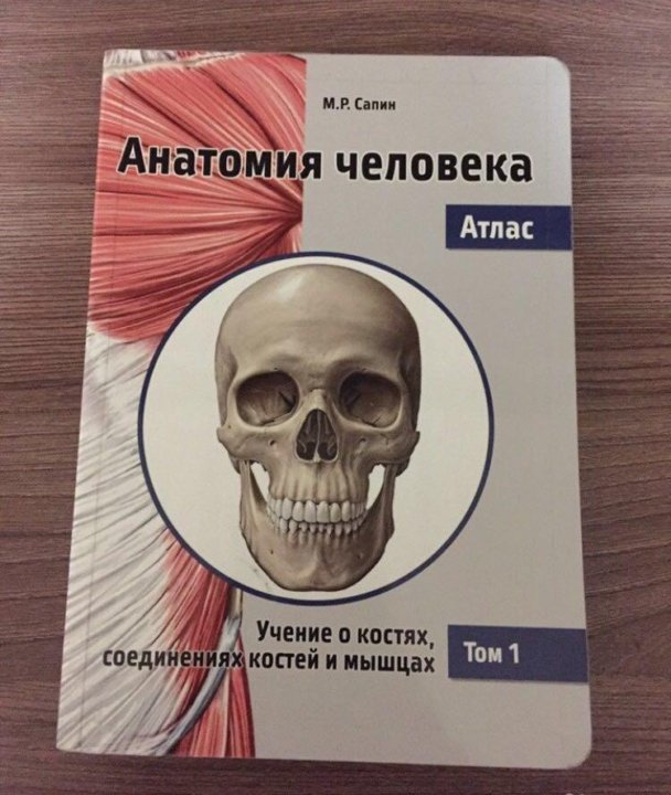 Сапин анатомия 2020. Анатомия человека Сапин 1,2 том.