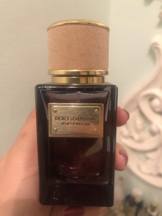 dolce gabbana tender oud