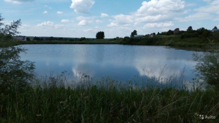 Гремячки нижегородская область. Гремячки Нижегородская область Богородский район. Деревня Гремячки Богородский район. Деревня Гремячка Нижегородская область Богородский район.