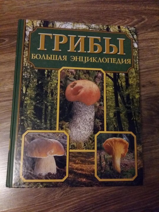 Купить Большой Справочник Грибов В Интернет Магазине