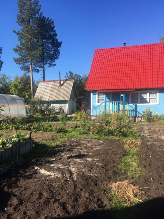 Дачи в новодвинске. СНТ Автомобилист Новодвинск. СНТ Автомобилист Северодвинск. СНТ Автомобилист Иркутск.