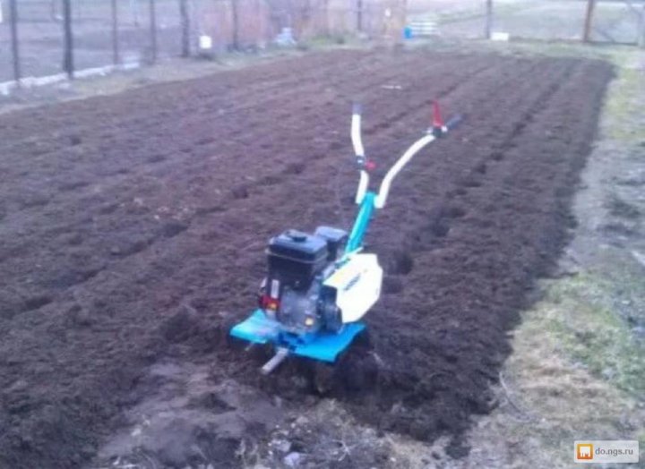 Вспашка Земли Мотоблоком Фото – Telegraph