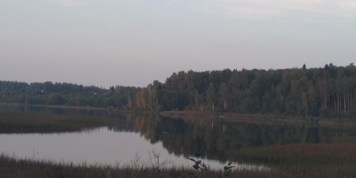 Погода в волоколамском районе снт зубово. СНТ тихие зори Электроугли.