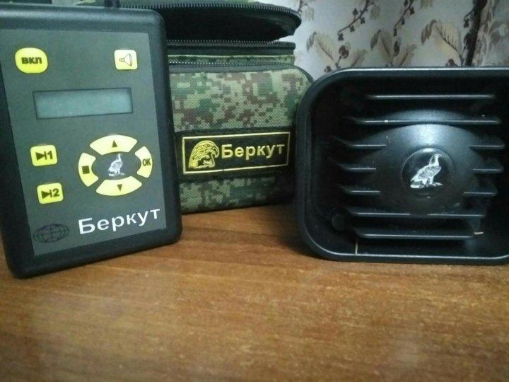 Беркут Магазин Номер