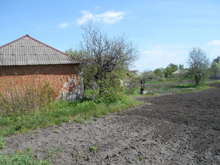 Орлово воронежской. Орлово Кукушкино база. Орлово Белгород. Орлово Новоусманского района переулок Волгоградский. Орлово-Кукушкино Омская область.