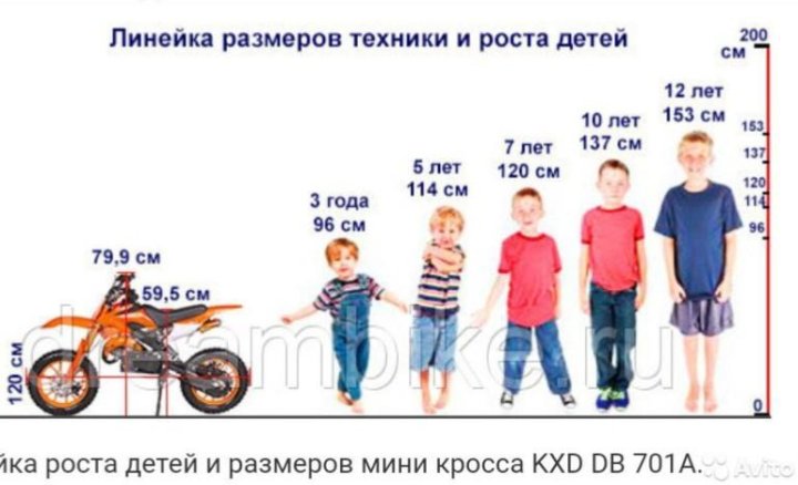 Какой рост подойдет для питбайка. Линейка роста детей и размеров мини кросса KXD DB 701a. Добрать питбайк по росту. Колеса питбайка по росту. Размер мотоцикла по росту.