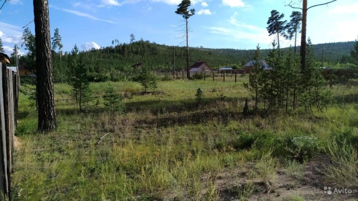 Земельный участок в улан удэ. Днт березка 10 улан-удэ. днт березка 3.