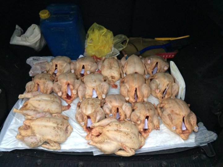 Курица от частных лиц. Курица охлажденная. Домашние бройлеры тушки. Курица от частных лиц. Коломенская курица.